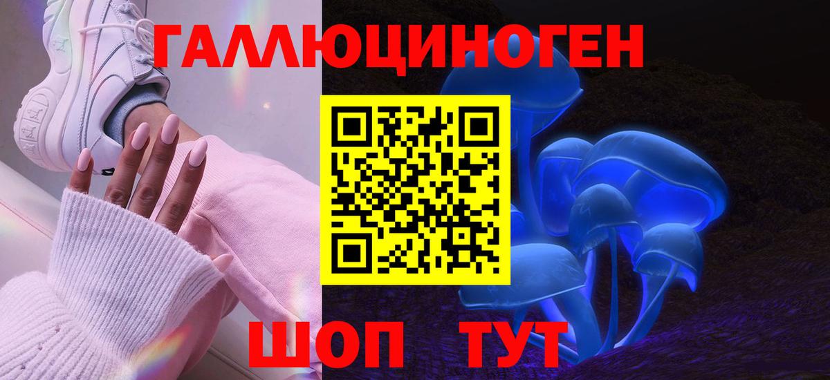 Вольск  Псилоцибиновые грибы прущие грибы  Вход с VPN 